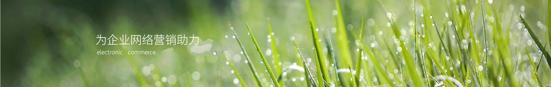 żҸۺӿƼ޹˾